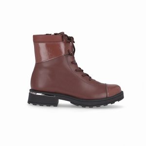 PICCADILLY MAXI - Bota Gisa Cano Curto Anabela Pinhão