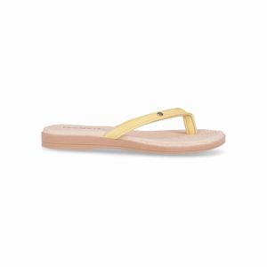 Chinelo Adla Camomila
