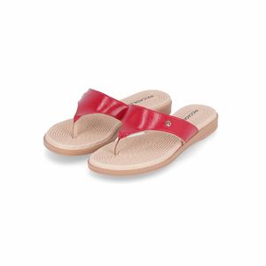 Chinelo Adla Hibisco