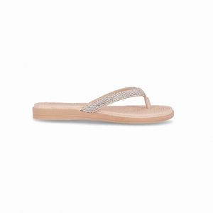Chinelo Rasteirinha Adla Cristal